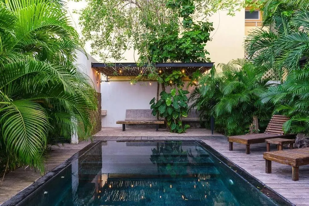 Come And Relax In The Jungle Of Tulum 3001 0*,  Mexico