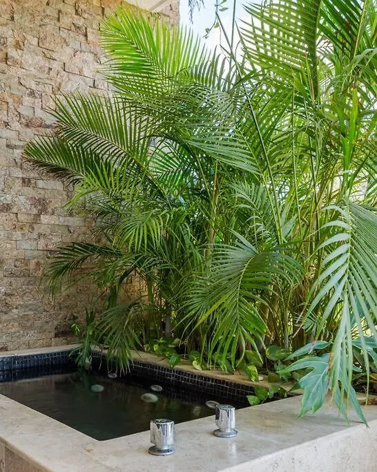 Come And Relax In The Jungle Of Tulum 3001 0*,