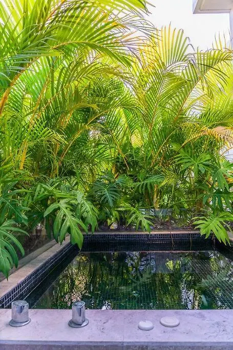 Apartment Come And Relax In The Jungle Of Tulum 3001 Mexico